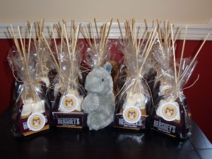 S'Mores Party Favors