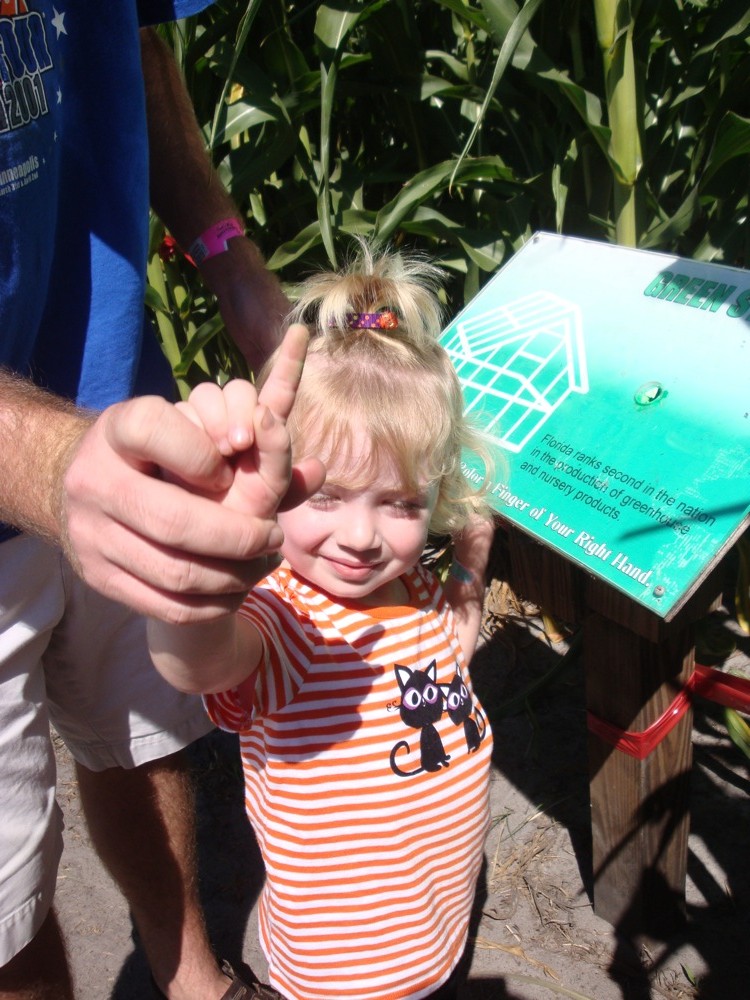 Corn Maze