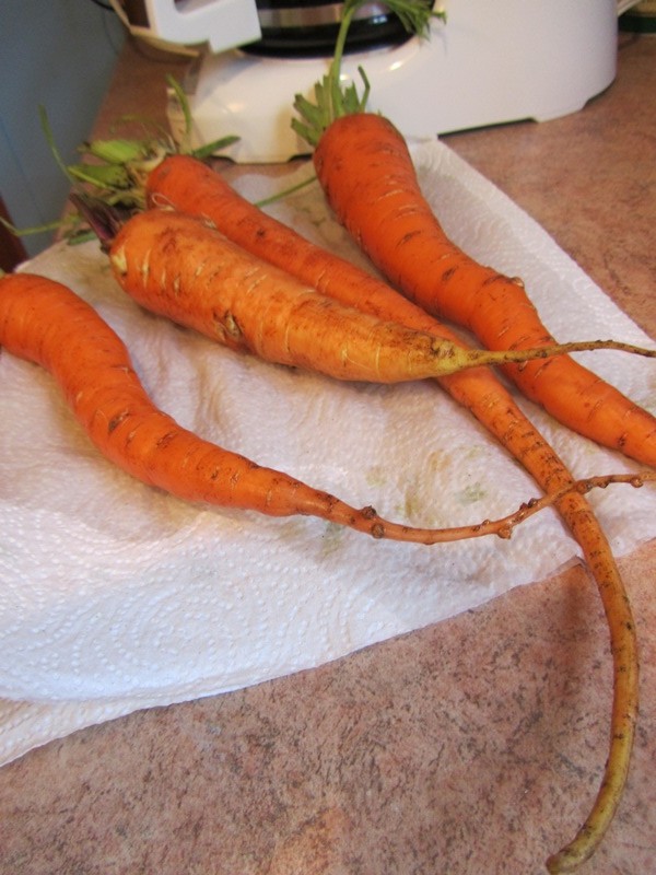 Carrots