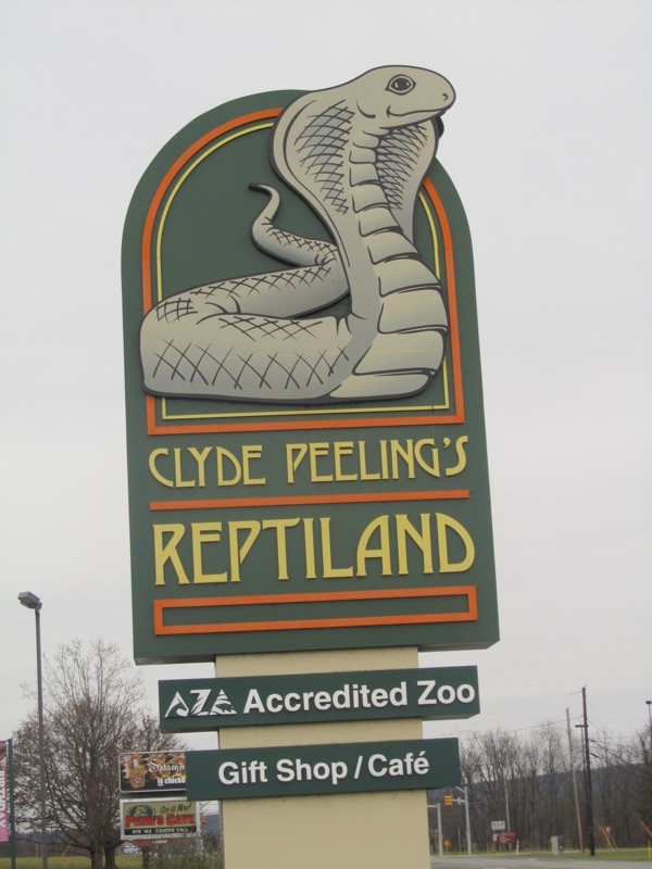 Reptiland