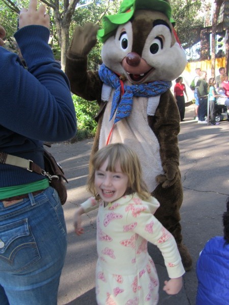 Animal Kingdom parade