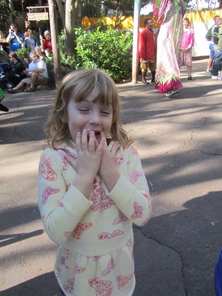 Animal Kingdom parade