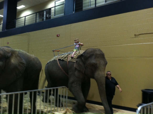 E rides an elephant
