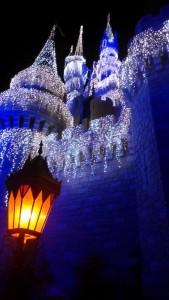 Cinderella's Castle, Dec. 2012