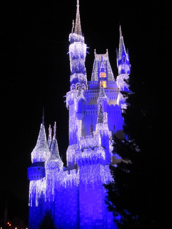 Cinderella's Castle, Dec. 2012