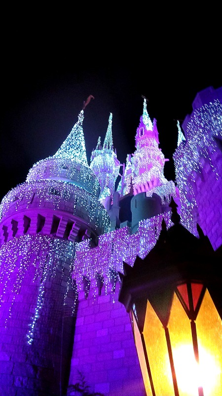 Magic Kingdom: Cinderella Castle at Christmas